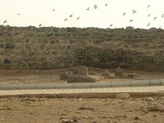 The holy graves of four Imams of Shi'a who are buried in al-Baqi' Cemetery. The grave of Imam al-Hasan al-Mujtaba (a) is the first from the right. (Featured in July 2, 2015)