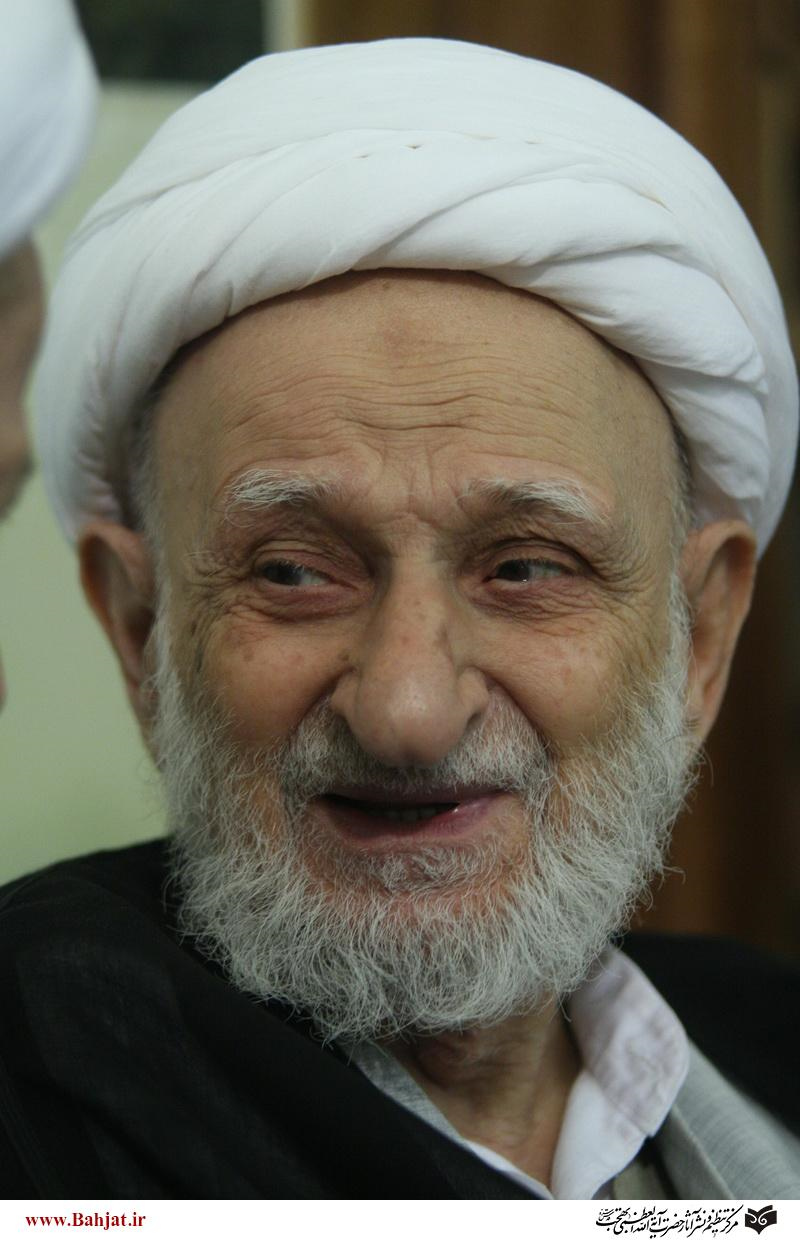 Muhammad Taqi Bahjat - WikiShia