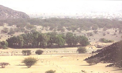 A photo of Ghadir Khumm region