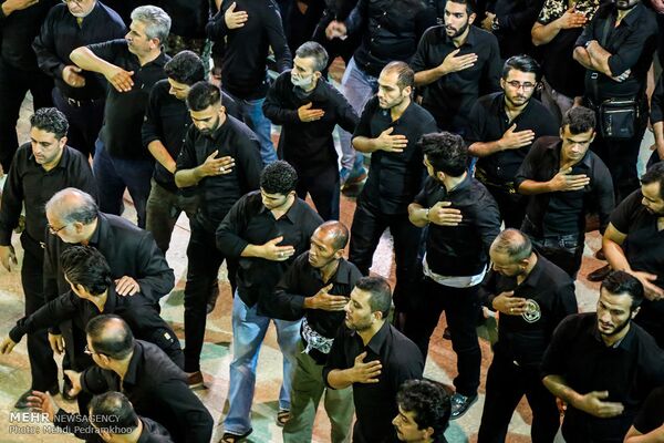 Chest-beating - wikishia