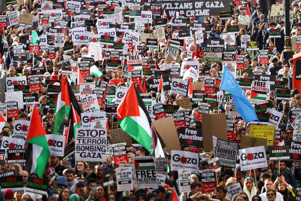 wikishia:Photo of the day/2023/43 - wikishia